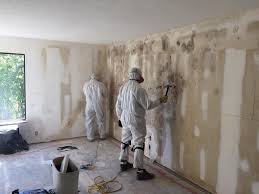 Best Emergency Mold Remediation  in Coachella, CA